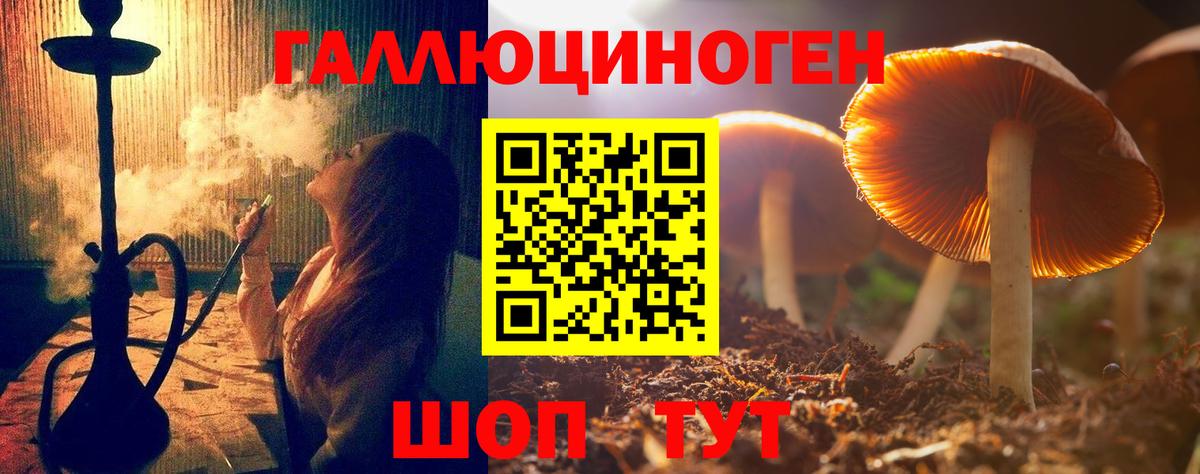 даркнет сайт  Вход с VPN  Назрань  Галлюциногенные грибы Psilocybine cubensis  Галлюциногенные грибы Psilocybe 